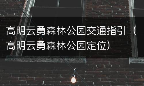 高明云勇森林公园交通指引（高明云勇森林公园定位）