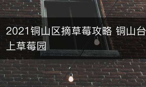 2021铜山区摘草莓攻略 铜山台上草莓园