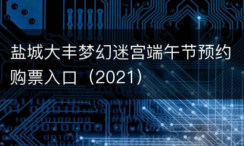 盐城大丰梦幻迷宫端午节预约购票入口（2021）