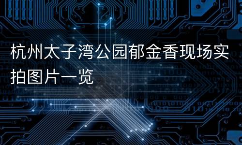杭州太子湾公园郁金香现场实拍图片一览