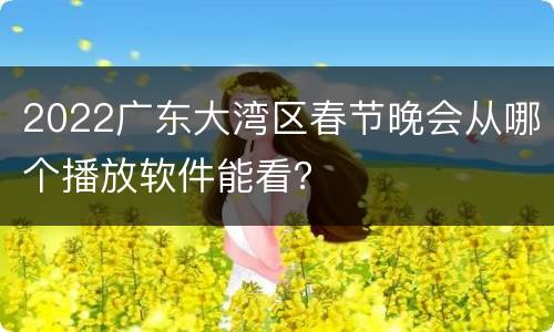 2022广东大湾区春节晚会从哪个播放软件能看？