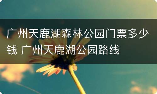 广州天鹿湖森林公园门票多少钱 广州天鹿湖公园路线