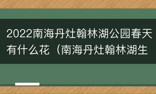 2022南海丹灶翰林湖公园春天有什么花（南海丹灶翰林湖生态园 免费景点自驾）