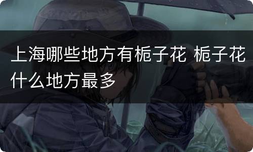 上海哪些地方有栀子花 栀子花什么地方最多
