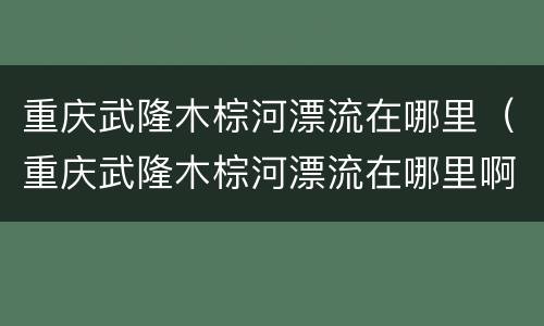 重庆武隆木棕河漂流在哪里（重庆武隆木棕河漂流在哪里啊）