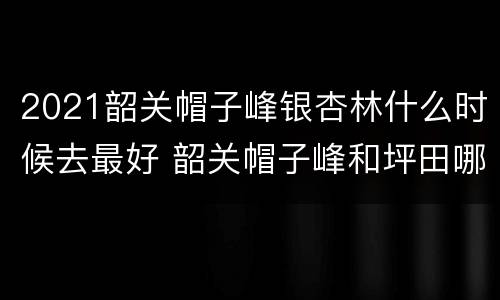 2021韶关帽子峰银杏林什么时候去最好 韶关帽子峰和坪田哪里的银杏好玩