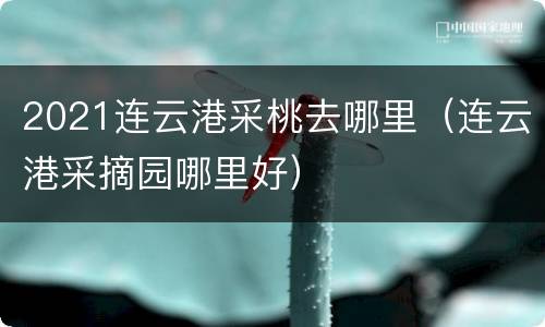 2021连云港采桃去哪里（连云港采摘园哪里好）