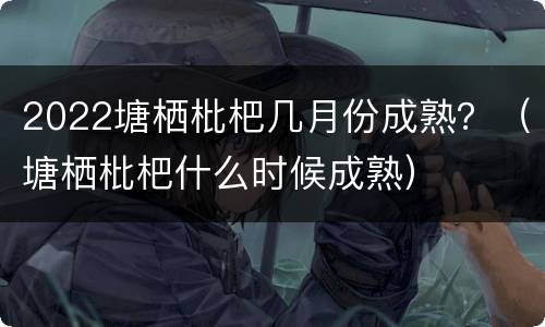 2022塘栖枇杷几月份成熟？（塘栖枇杷什么时候成熟）