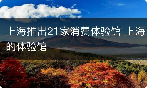 上海推出21家消费体验馆 上海的体验馆