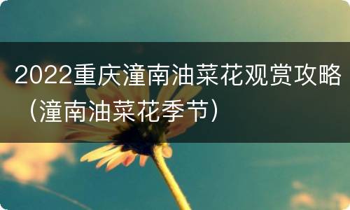 2022重庆潼南油菜花观赏攻略（潼南油菜花季节）