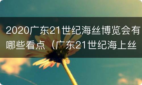 2020广东21世纪海丝博览会有哪些看点（广东21世纪海上丝绸之路博览会）