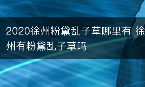 2020徐州粉黛乱子草哪里有 徐州有粉黛乱子草吗