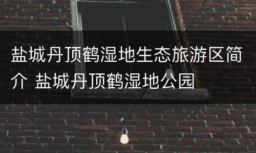 盐城丹顶鹤湿地生态旅游区简介 盐城丹顶鹤湿地公园