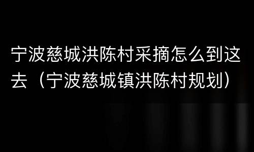 宁波慈城洪陈村采摘怎么到这去（宁波慈城镇洪陈村规划）