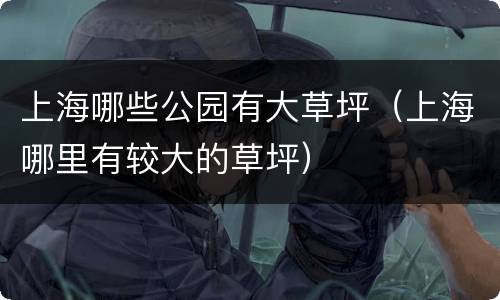 上海哪些公园有大草坪（上海哪里有较大的草坪）