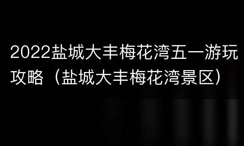 2022盐城大丰梅花湾五一游玩攻略（盐城大丰梅花湾景区）