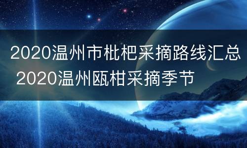 2020温州市枇杷采摘路线汇总 2020温州瓯柑采摘季节
