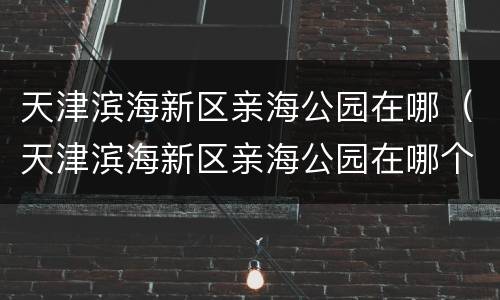 天津滨海新区亲海公园在哪（天津滨海新区亲海公园在哪个位置）