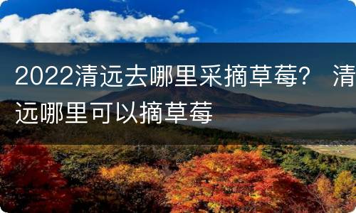 2022清远去哪里采摘草莓？ 清远哪里可以摘草莓
