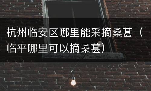 杭州临安区哪里能采摘桑葚（临平哪里可以摘桑葚）