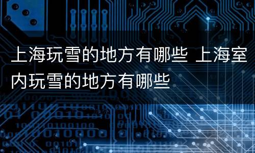 上海玩雪的地方有哪些 上海室内玩雪的地方有哪些