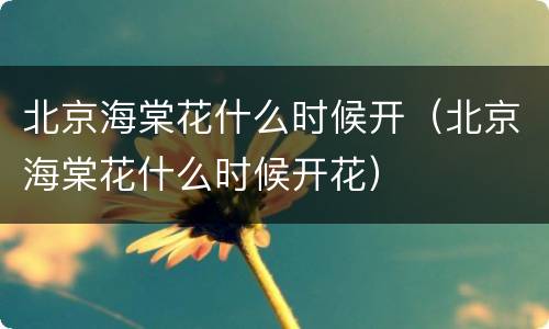 北京海棠花什么时候开（北京海棠花什么时候开花）