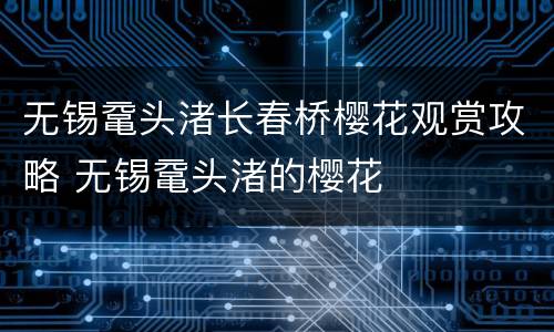 无锡鼋头渚长春桥樱花观赏攻略 无锡鼋头渚的樱花