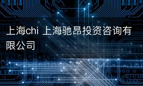上海chi 上海驰昂投资咨询有限公司