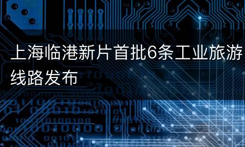 上海临港新片首批6条工业旅游线路发布