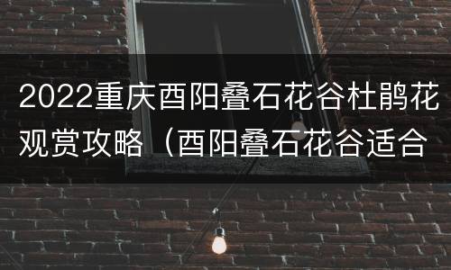 2022重庆酉阳叠石花谷杜鹃花观赏攻略（酉阳叠石花谷适合游玩的季节）