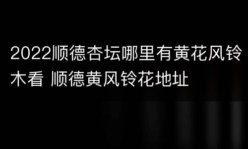 2022顺德杏坛哪里有黄花风铃木看 顺德黄风铃花地址
