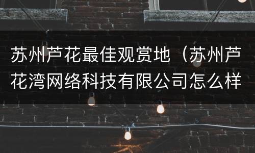 苏州芦花最佳观赏地（苏州芦花湾网络科技有限公司怎么样）