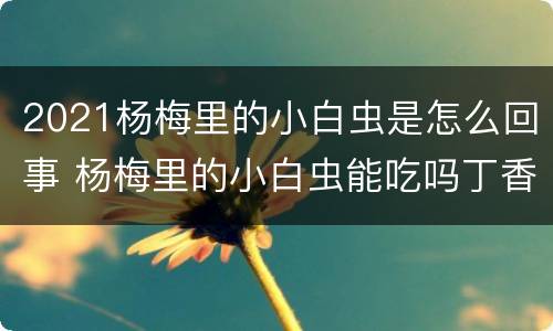 2021杨梅里的小白虫是怎么回事 杨梅里的小白虫能吃吗丁香医生