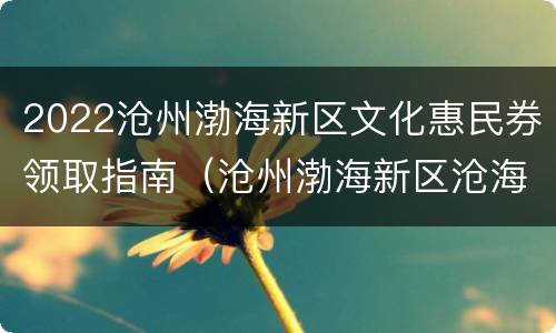 2022沧州渤海新区文化惠民券领取指南（沧州渤海新区沧海文化风景区）