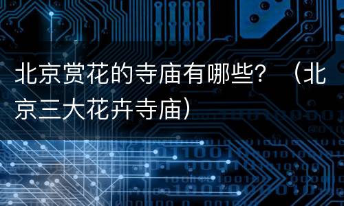 北京赏花的寺庙有哪些？（北京三大花卉寺庙）