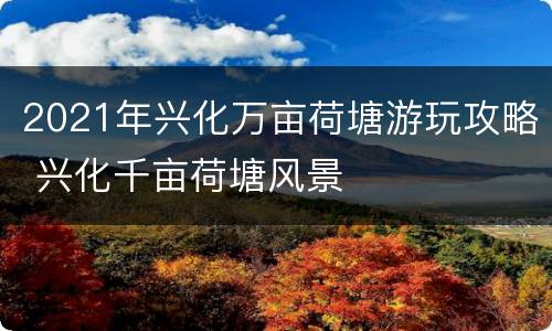 2021年兴化万亩荷塘游玩攻略 兴化千亩荷塘风景