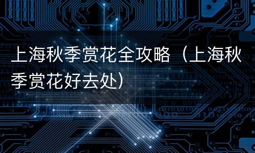 上海秋季赏花全攻略（上海秋季赏花好去处）