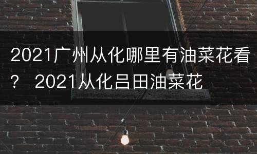 2021广州从化哪里有油菜花看？ 2021从化吕田油菜花