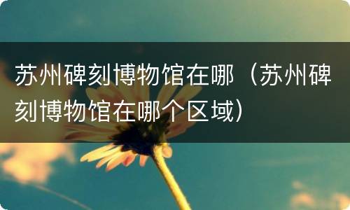 苏州碑刻博物馆在哪（苏州碑刻博物馆在哪个区域）