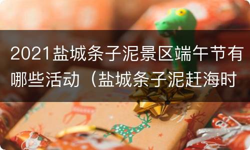 2021盐城条子泥景区端午节有哪些活动（盐城条子泥赶海时间）