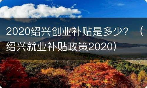 2020绍兴创业补贴是多少？（绍兴就业补贴政策2020）