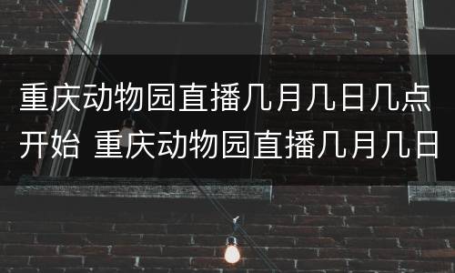 重庆动物园直播几月几日几点开始 重庆动物园直播几月几日几点开始播