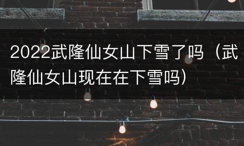 2022武隆仙女山下雪了吗（武隆仙女山现在在下雪吗）