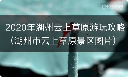 2020年湖州云上草原游玩攻略（湖州市云上草原景区图片）