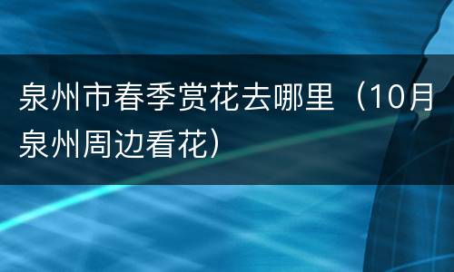 泉州市春季赏花去哪里（10月泉州周边看花）
