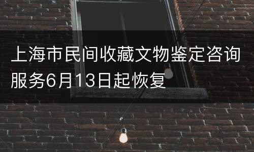 上海市民间收藏文物鉴定咨询服务6月13日起恢复