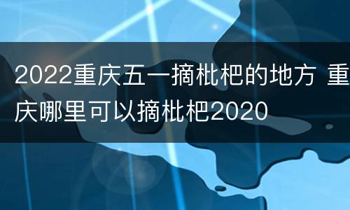 2022重庆五一摘枇杷的地方 重庆哪里可以摘枇杷2020