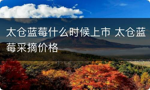 太仓蓝莓什么时候上市 太仓蓝莓采摘价格