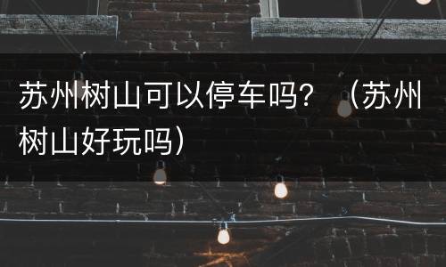 苏州树山可以停车吗？（苏州树山好玩吗）