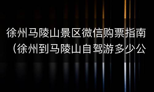 徐州马陵山景区微信购票指南（徐州到马陵山自驾游多少公里）